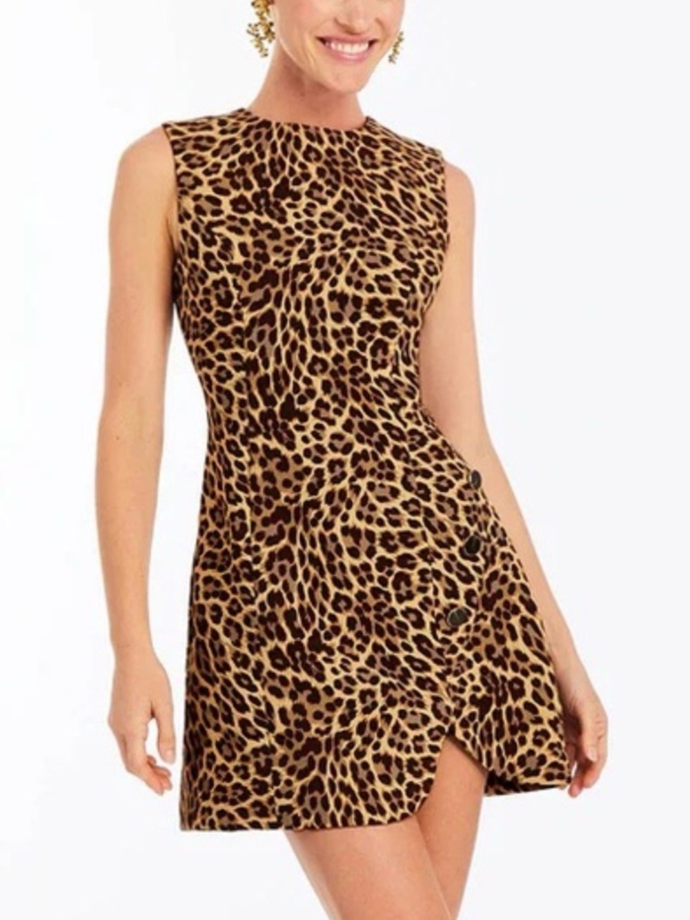 Mestiza New York - Loverde Fit And Flare Mini Dress size 6,8,10 $350